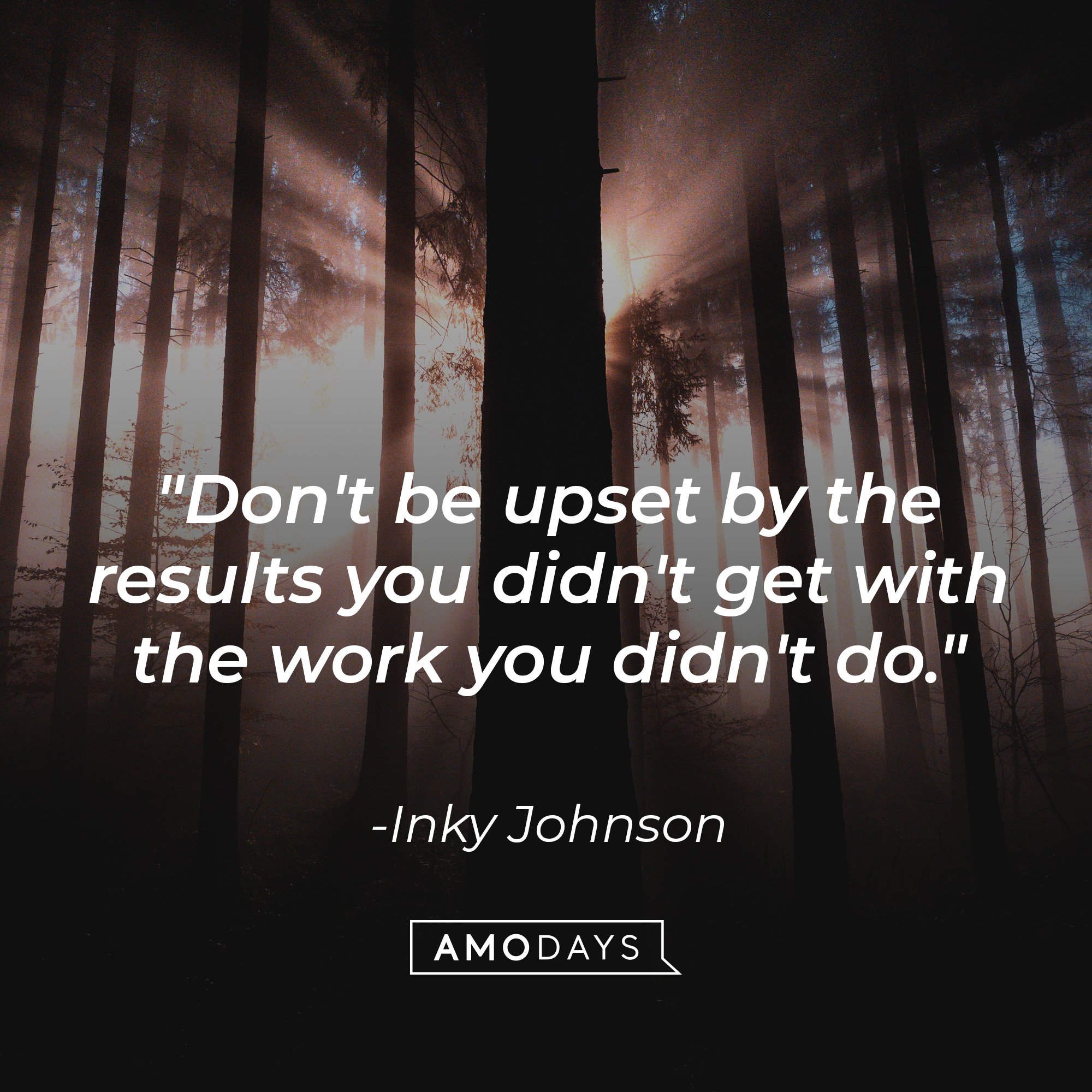 Inky Johnson's quote: "Don't be upset by the results you didn't get with the work you didn't do." | Image: AmoDays