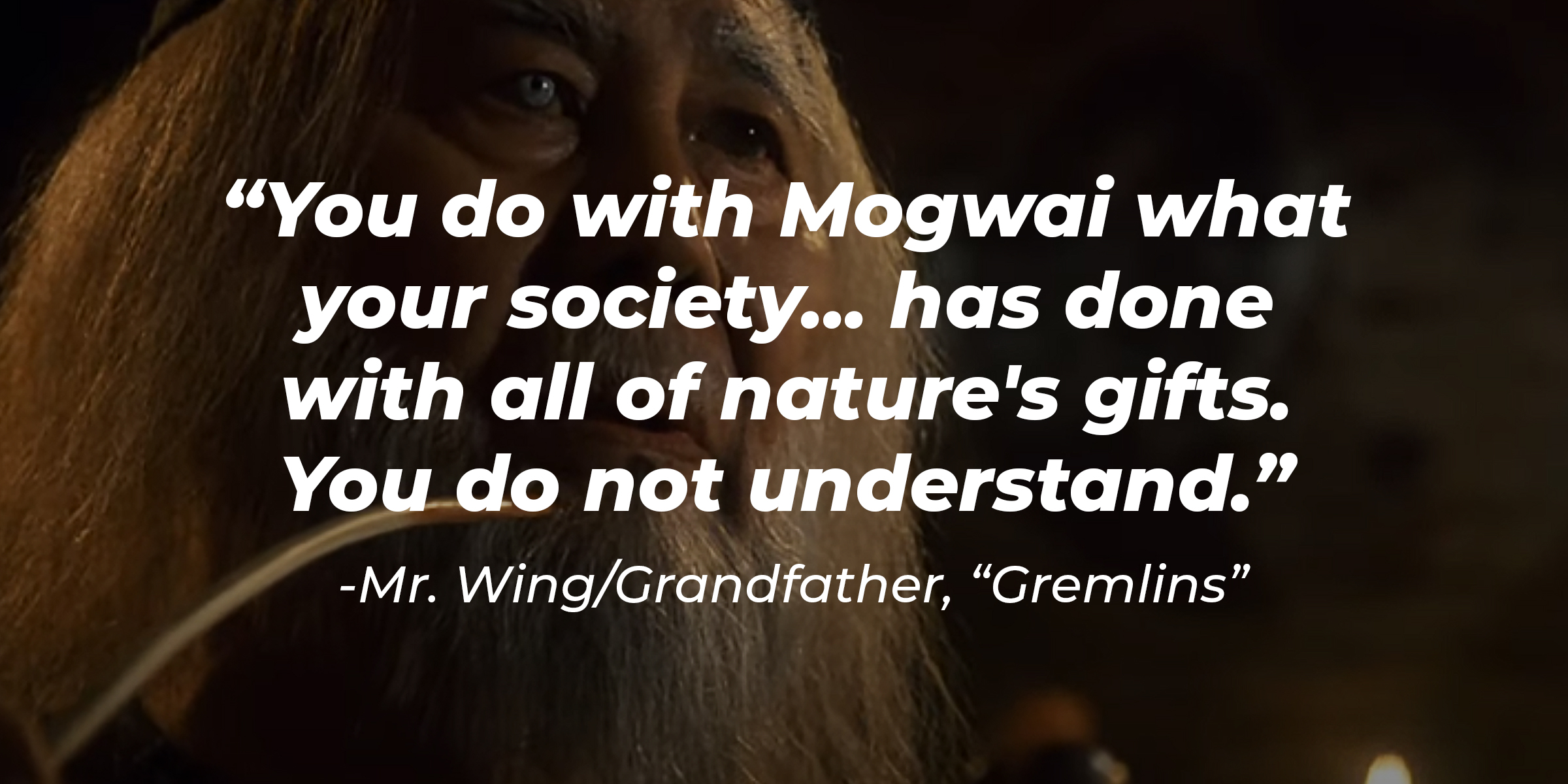 An image of Mr. Wing/Grandfather with his quote: "You do with Mogwai what your society... has done with all of nature's gifts. You do not understand." | Source: Youtube.com/warnerbrosentertainment