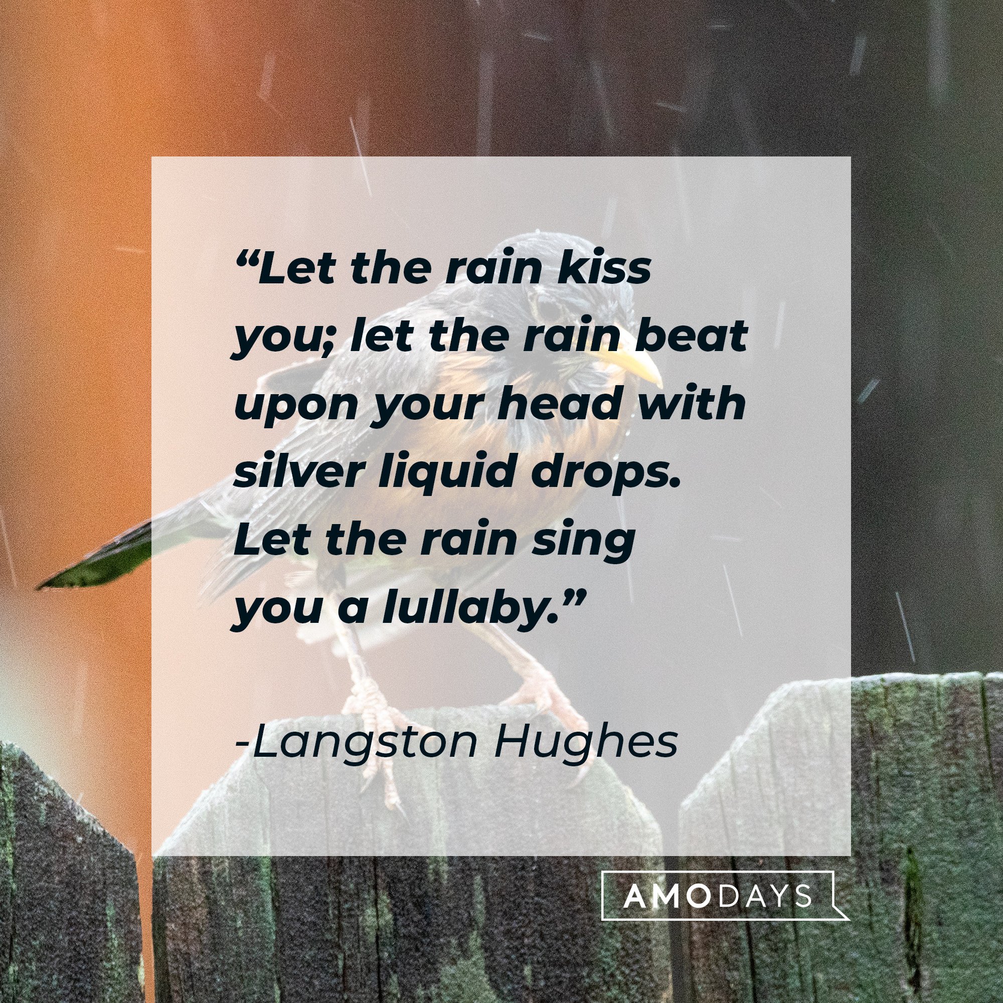 Langston Hughes’ quote: "Let the rain kiss you; let the rain beat upon your head with silver liquid drops. Let the rain sing you a lullaby." | Image: AmoDays