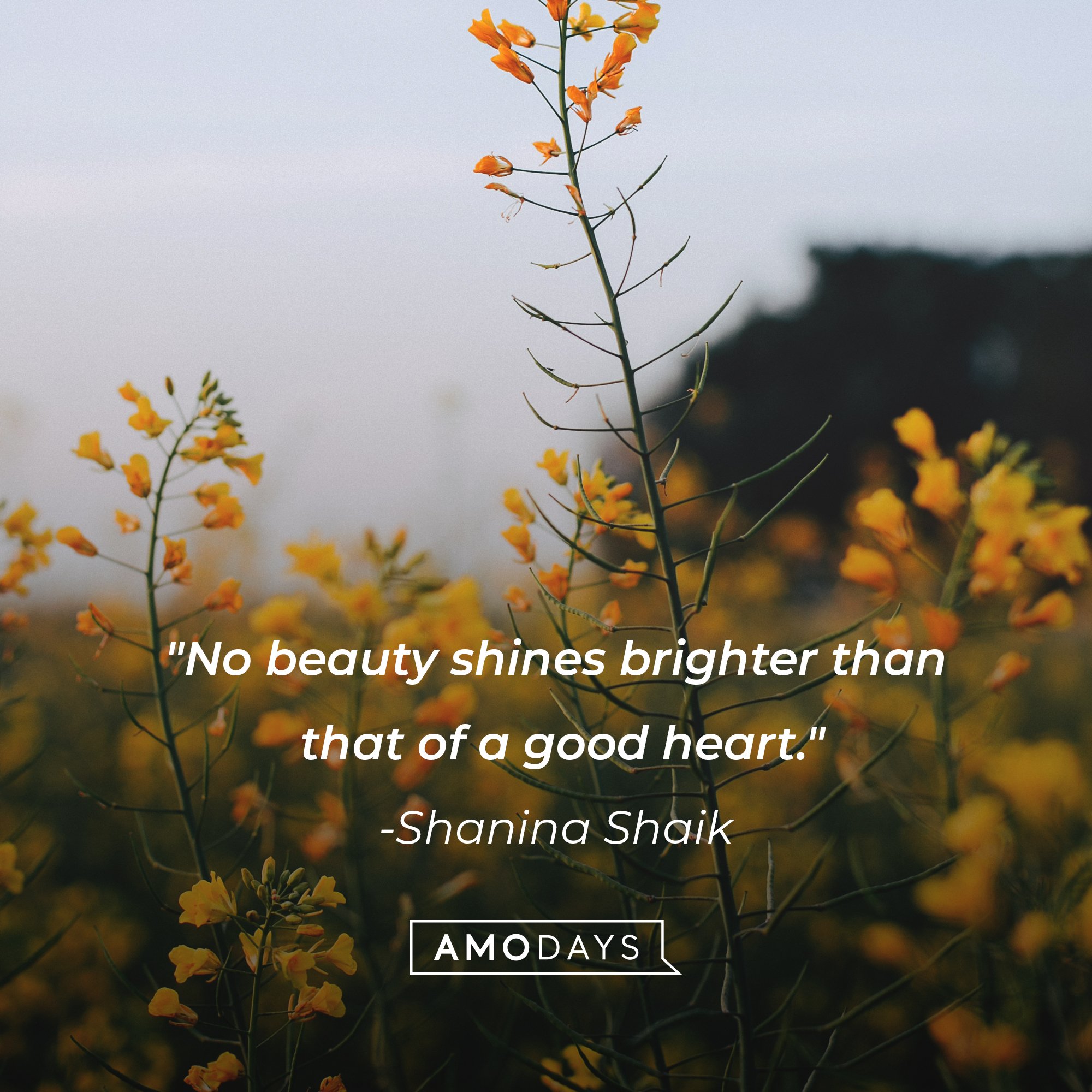 Shanina Shaik’s quote: "No beauty shines brighter than that of a good heart." | Image: AmoDays
