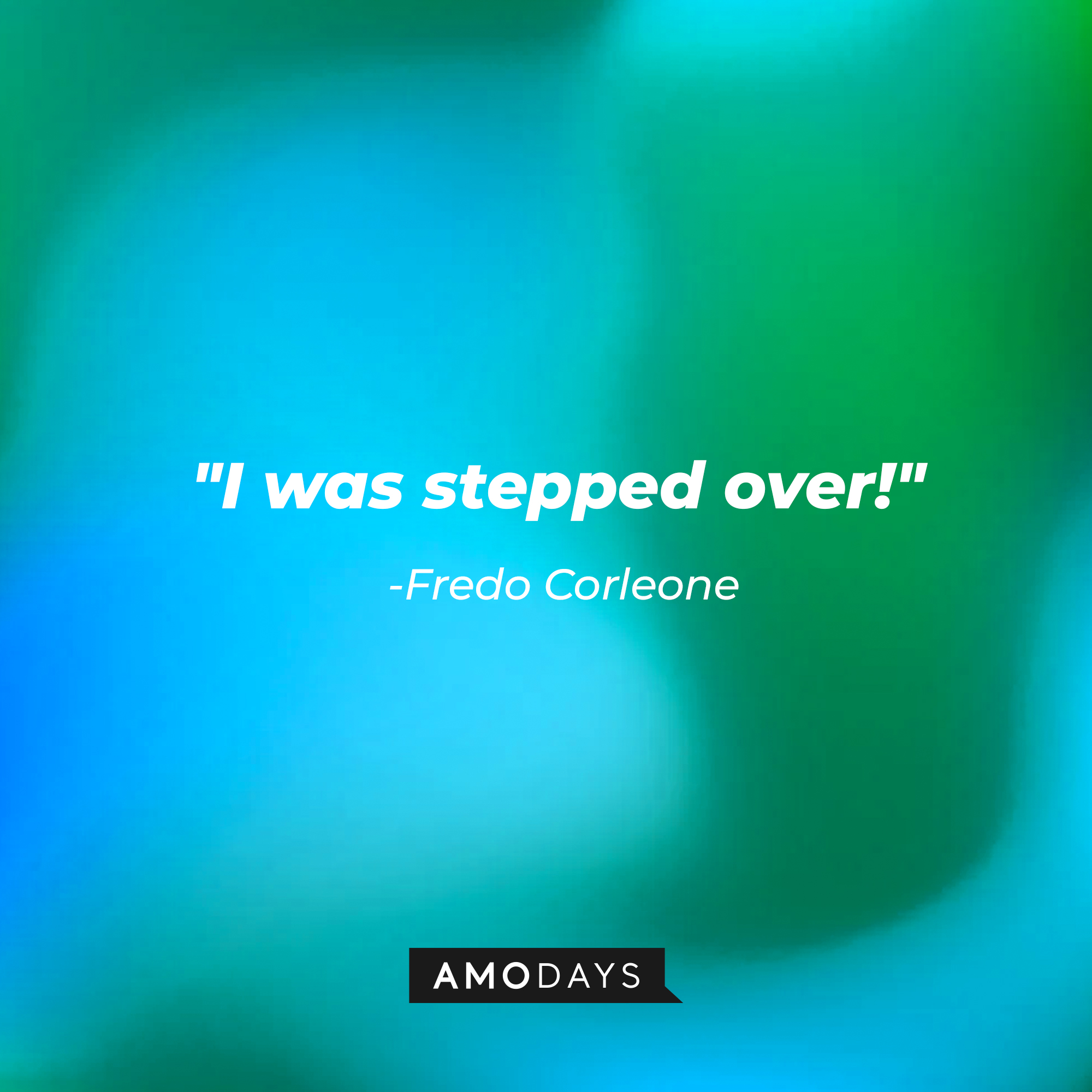 Fredo Corleone’s quote: "I was stepped over!" | Source: AmoDays